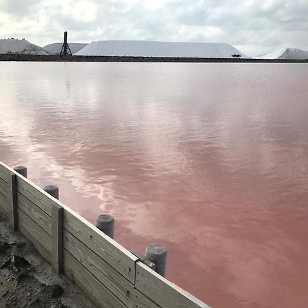 Le Clos Des Vignes Junas ภายนอก รูปภาพ
