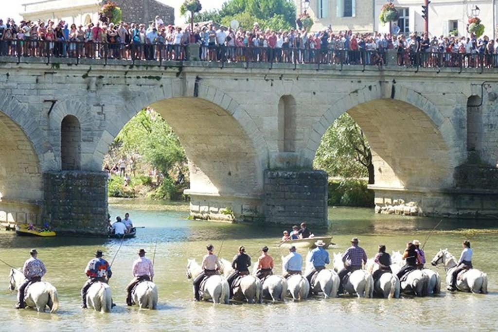 Le Clos Des Vignes Junas ภายนอก รูปภาพ
